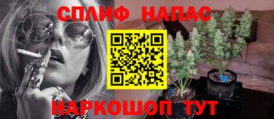мдпв Новокубанск