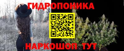 прущий лед Новозыбков