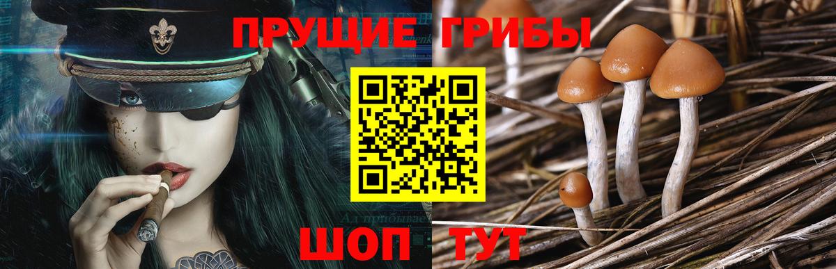 Галлюциногенные грибы Magic Shrooms  Вход с VPN  Псилоцибиновые грибы Magic Shrooms  Вичуга 